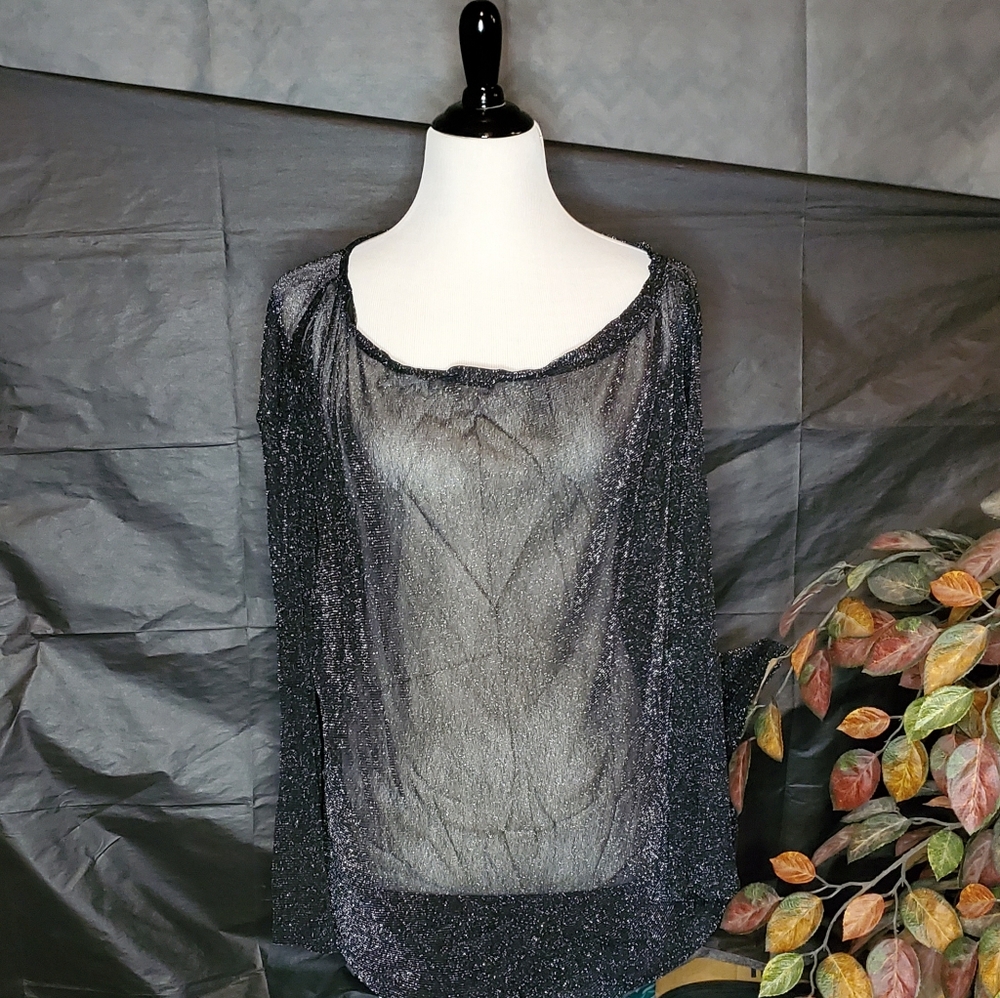 Sheer Sparkle Long Sleeve Shirt